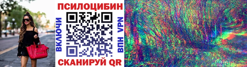 Галлюциногенные грибы Psilocybine cubensis  мега ССЫЛКА  Калининец 